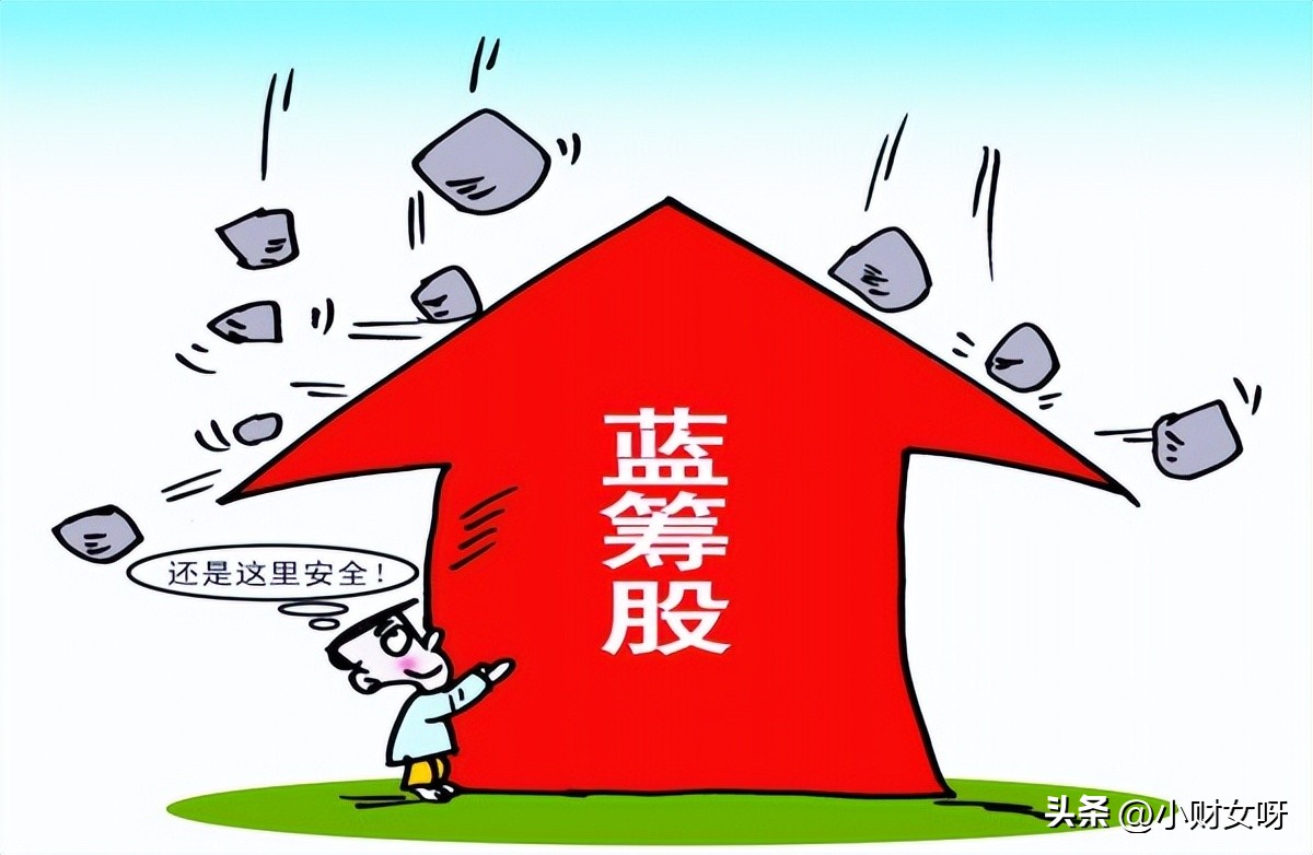 所谓的蓝筹股是些什么股票,好的蓝筹股是哪些