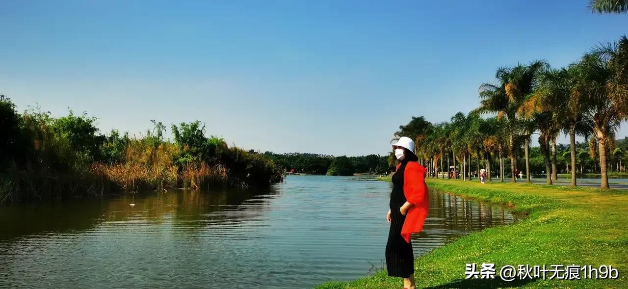 55天云南的孤独之旅,60岁老人拍55天云南的孤独旅行