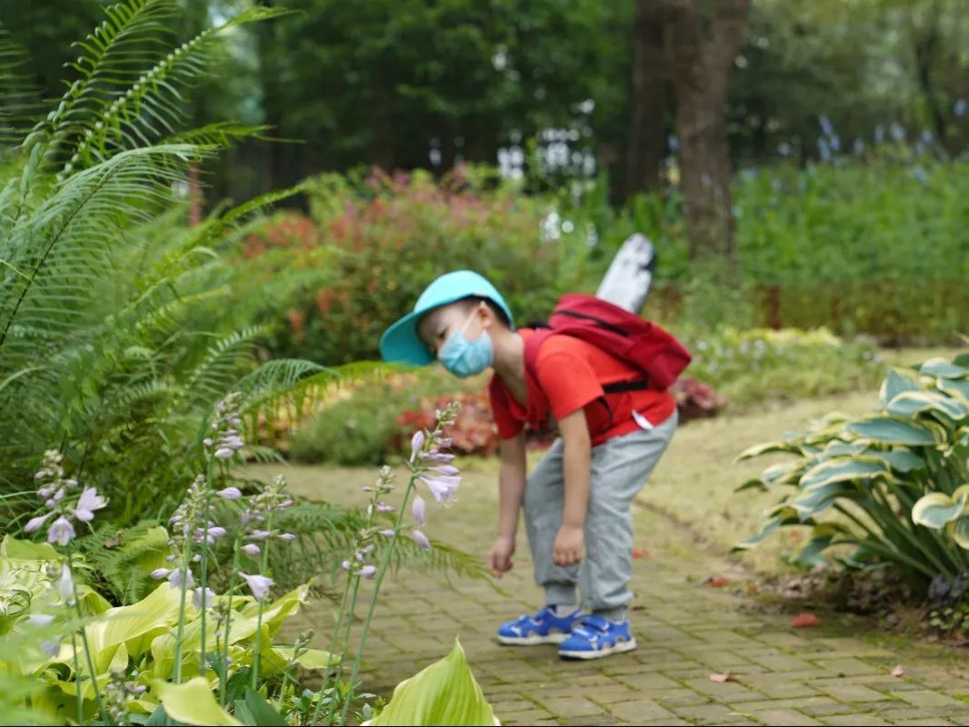 上海野生动物园端午节游玩门票,上海野生动物园年卡节假日