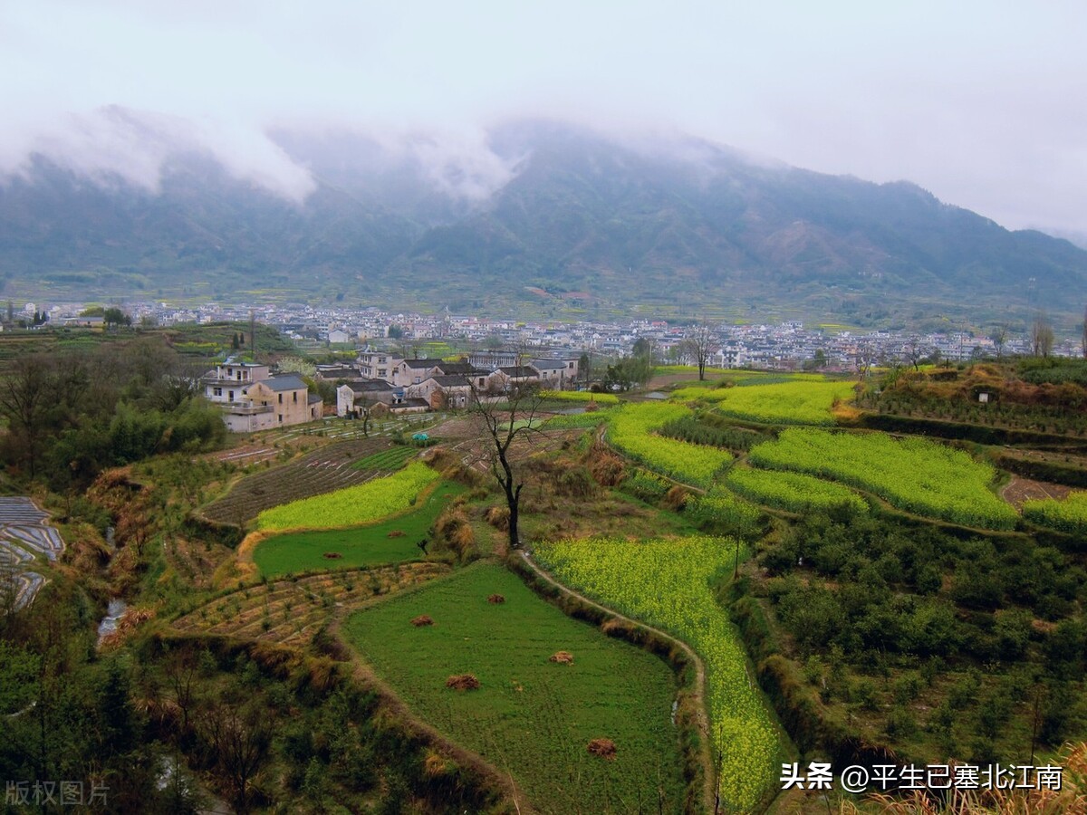 胡适为什么走,胡适为什么翻案