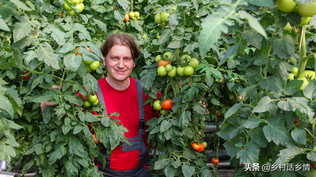 国外有机肥制作过程,国外有机肥怎么使用