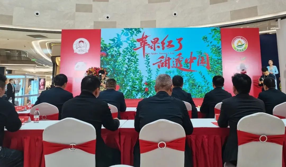 一起来看美丽的淀山湖,一起来看苏州京杭大运河