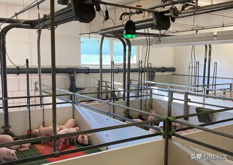 汉诺威畜牧展,畜牧科技展