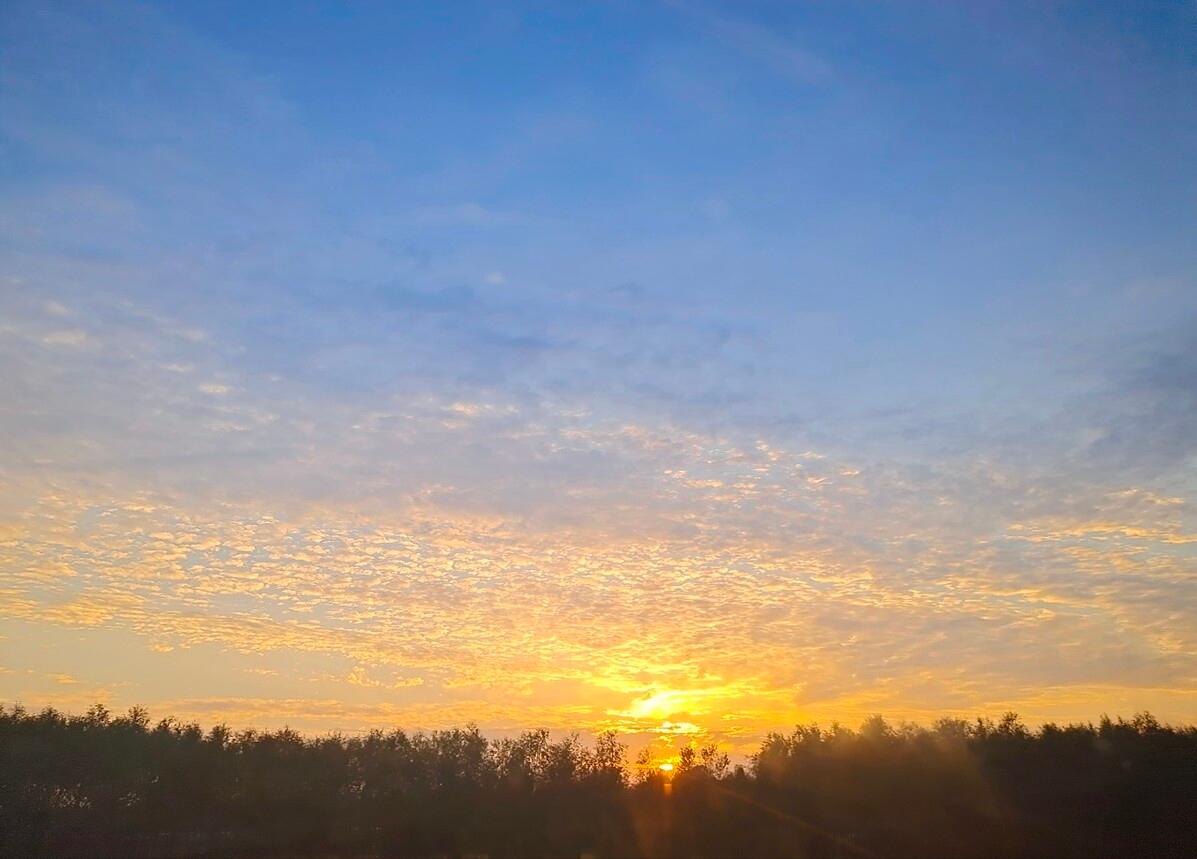 品名家著作，游生命之旅——《史铁生散文精选》读书笔记