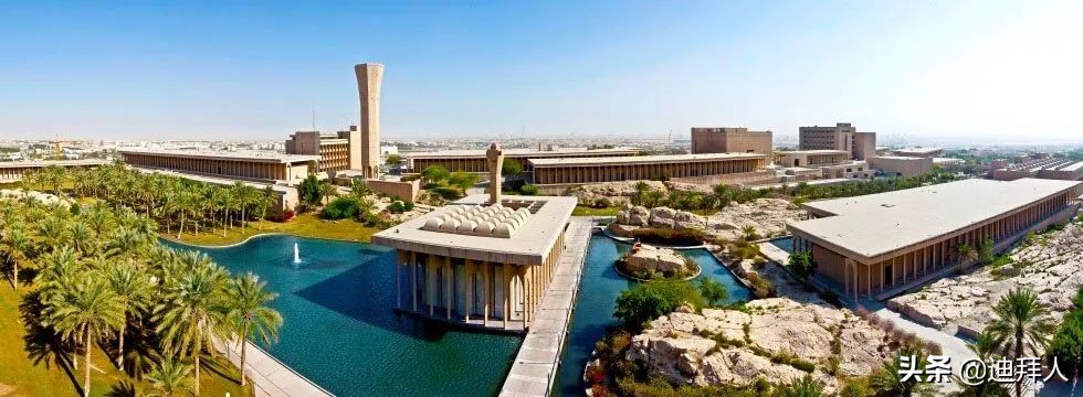沙特最好的大学是哪个,沙特有哪些大学