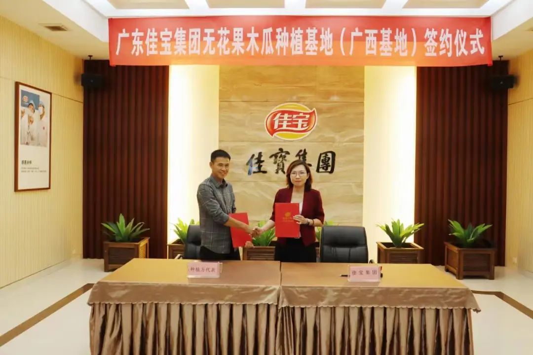 佳宝无花果工厂制作过程,佳宝无花果公司