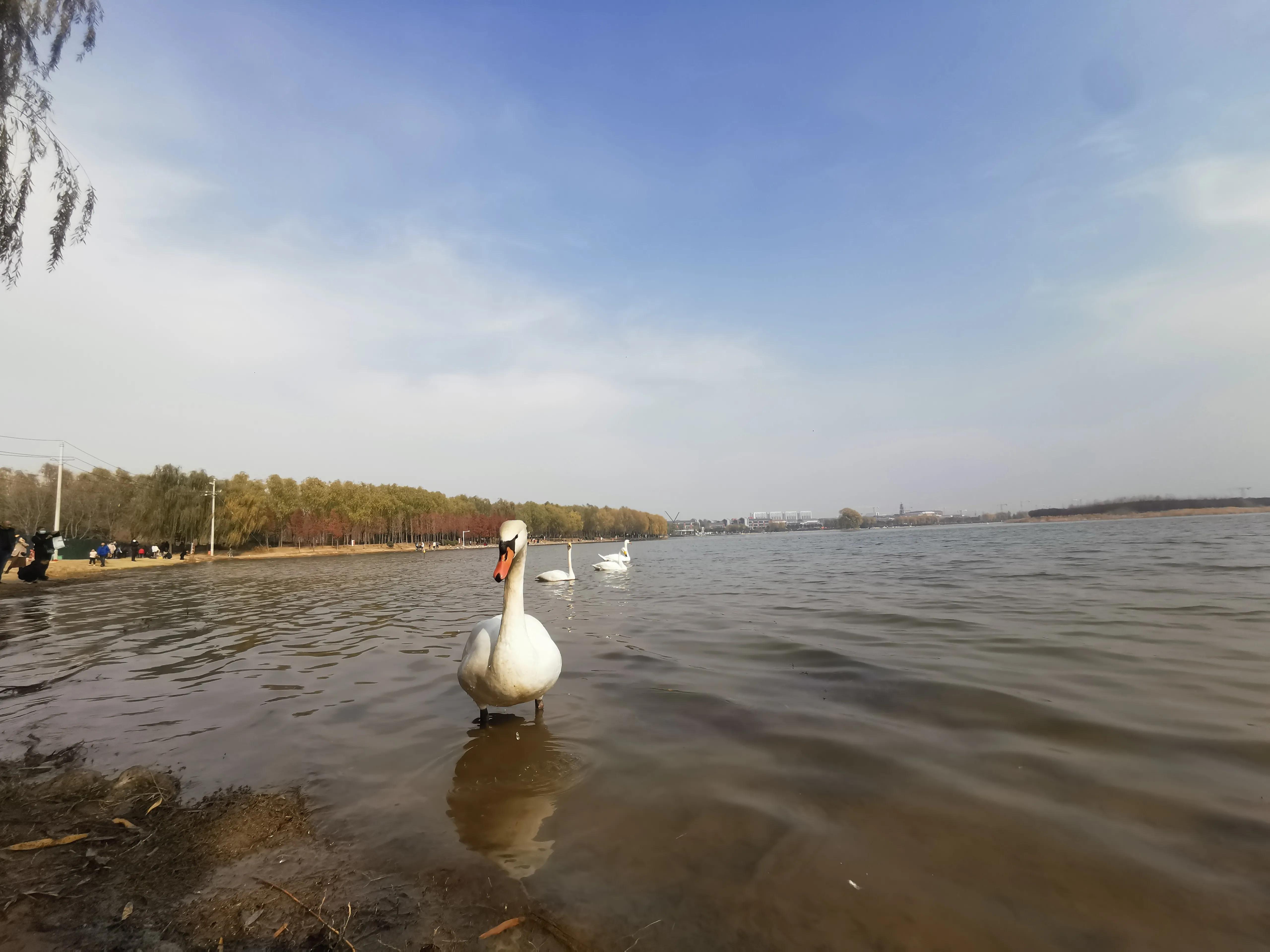 郑州夏季周末带孩子去哪里玩好,郑州周末带孩子去哪里玩比较好