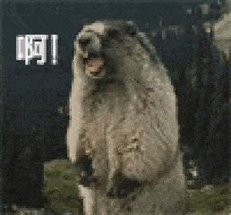 哪些生活用品容易成为智商税,空气净化器是不是智商税产品