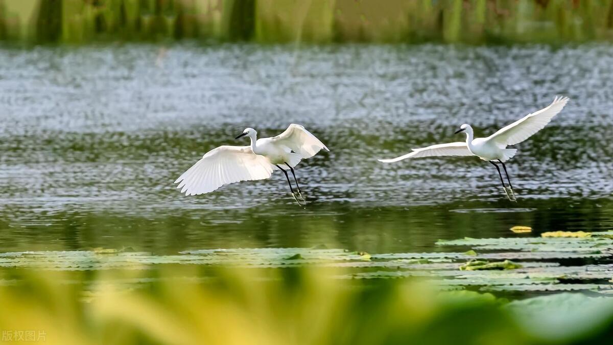 十一北京大兴周边旅游景点推荐,北京大兴黄村旅游攻略