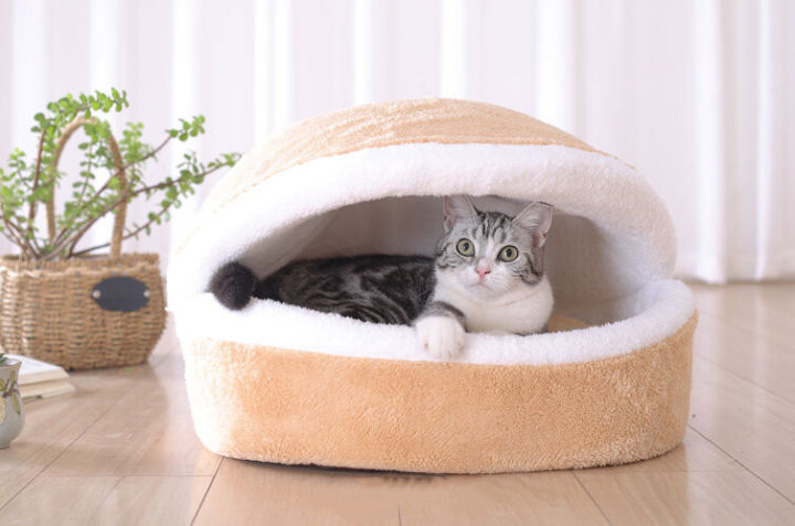 养猫指南入门,猫怎么养最全的新手养猫攻略