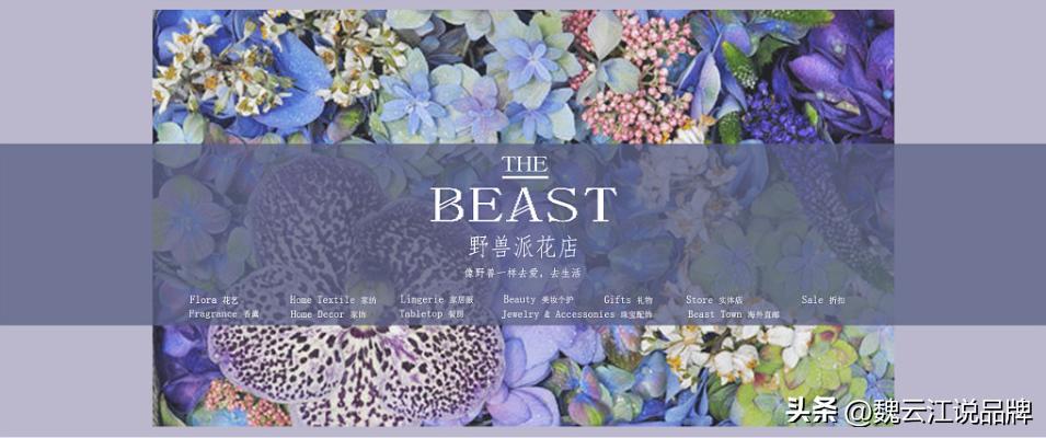 花界的爱马仕,花界中的爱马仕