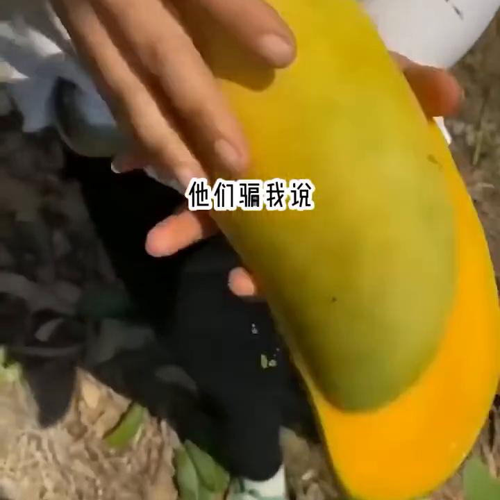 超级好看小说抢先看,炒鸡好看小说结局