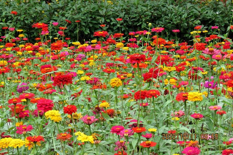 花溪小公园,美丽的花溪公园