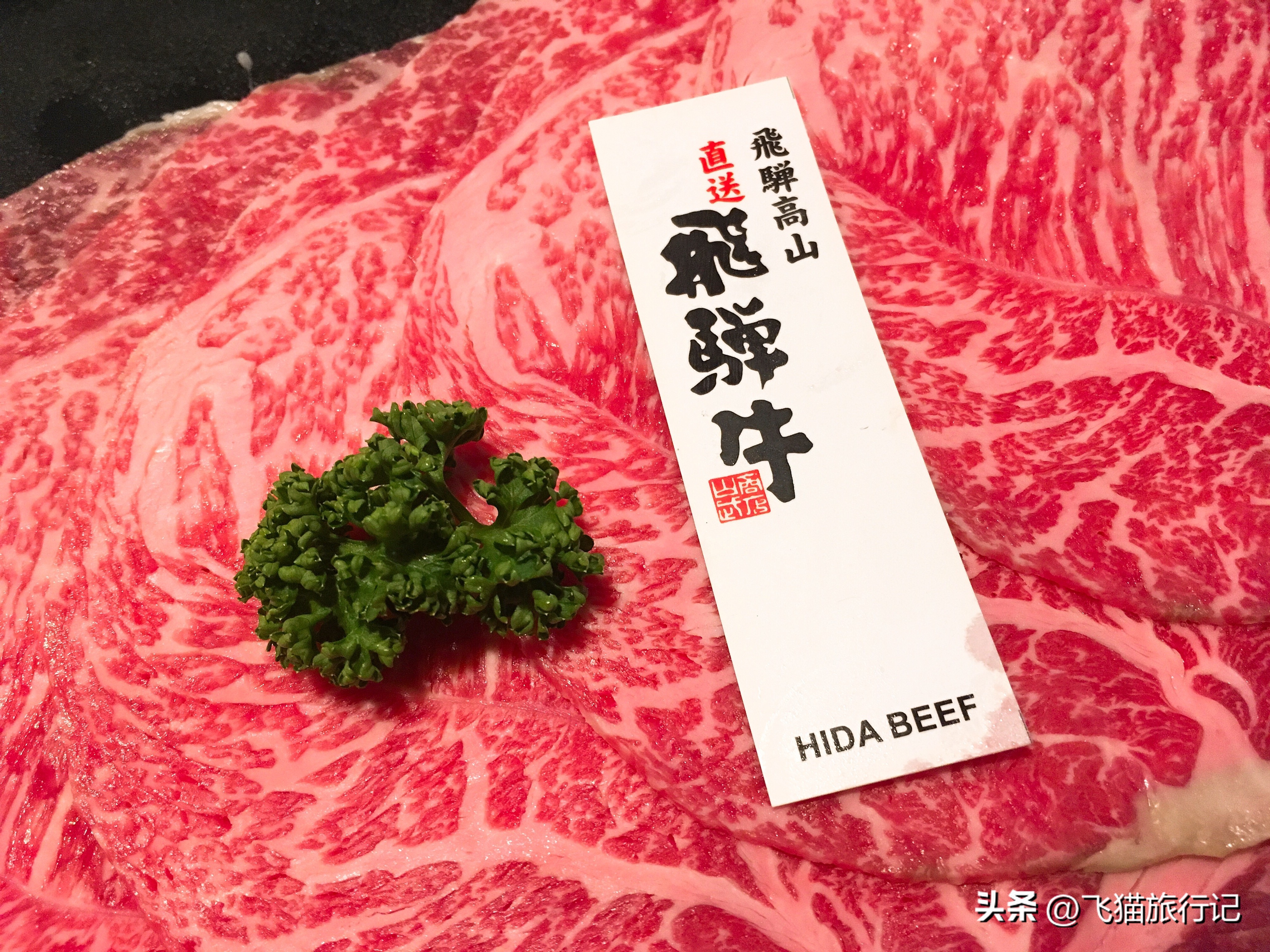 日本名古屋岐阜旅游攻略,日本岐阜自由行攻略