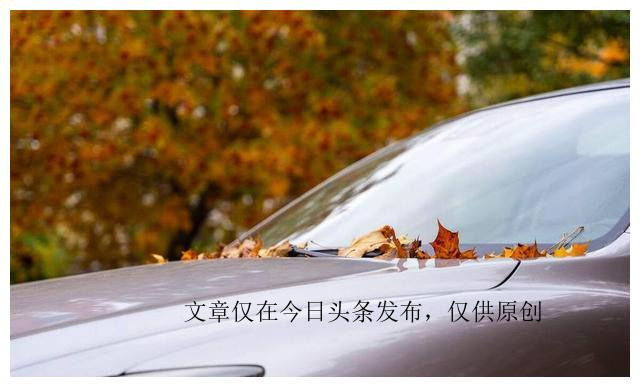 汽车放户外风吹日晒,汽车放在太阳底下晒汽油会挥发吗