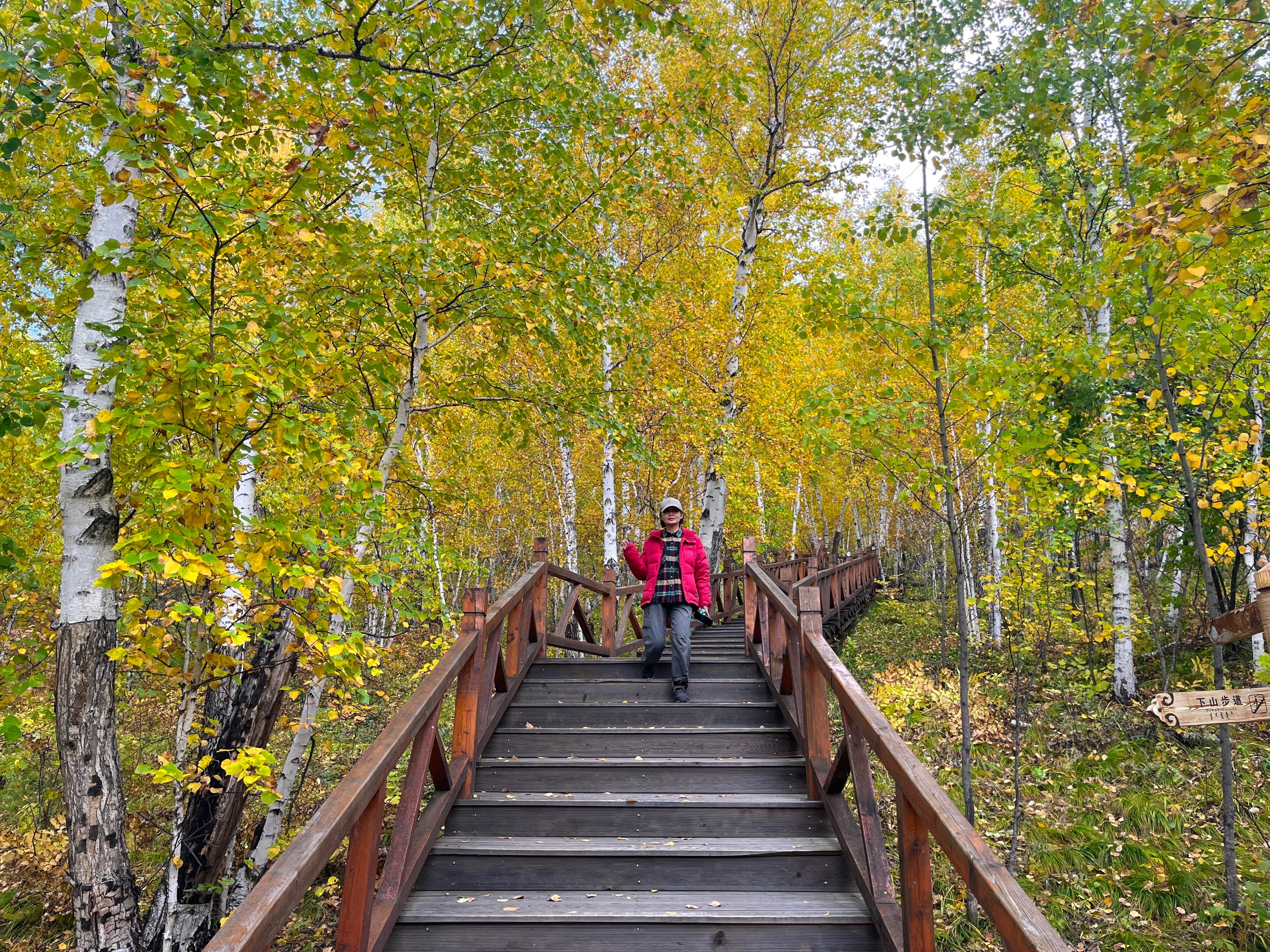 夫妻自驾11000公里,夫妻两人自驾游最新视频