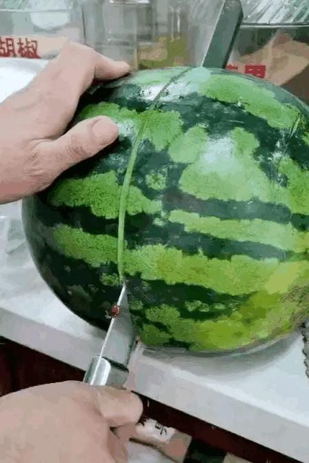 猪八戒的钉耙比悟空谁强,孙悟空金箍棒和猪八戒的九齿钉耙