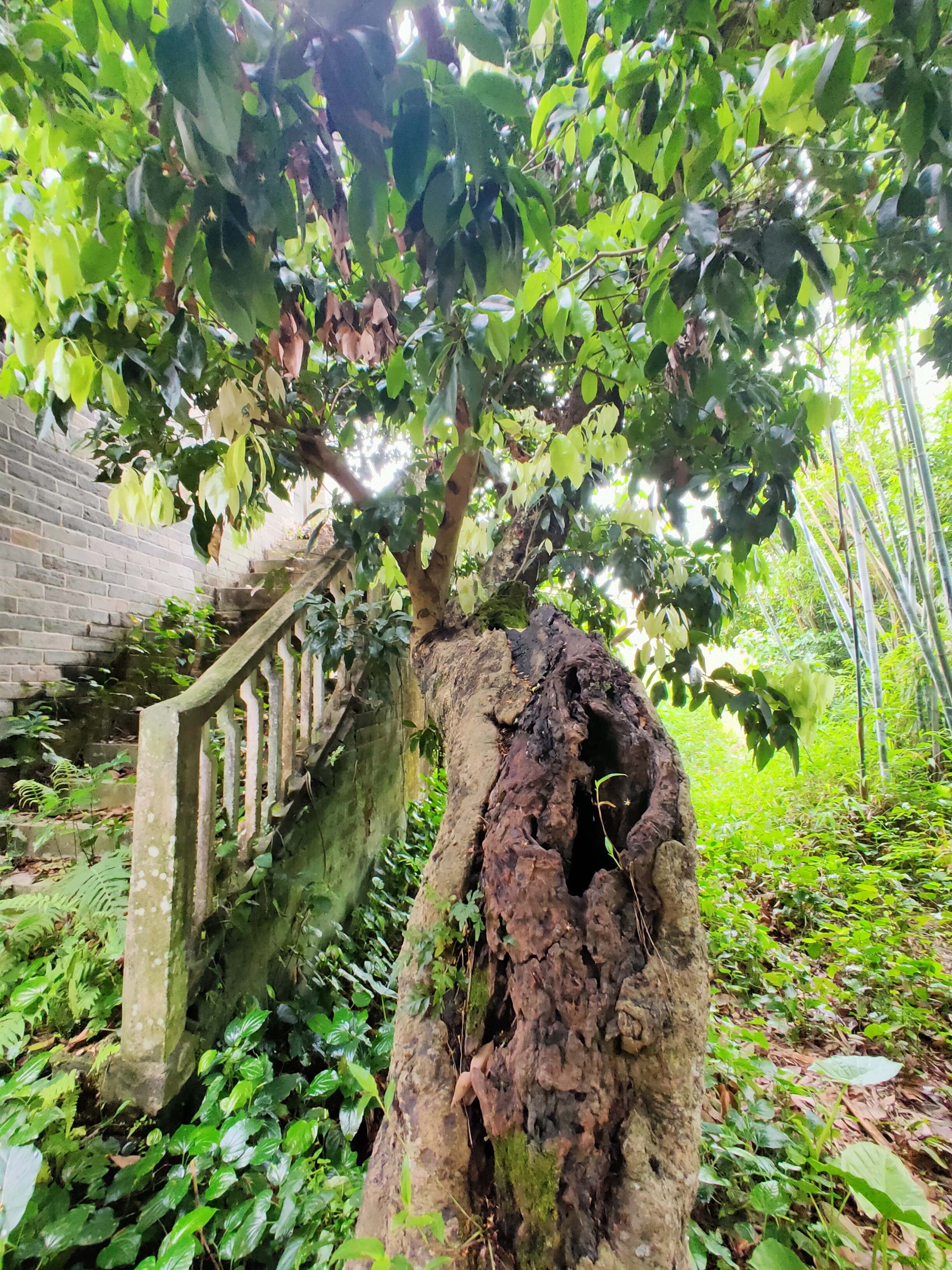 回家的相聚,相见欢同乡聚会