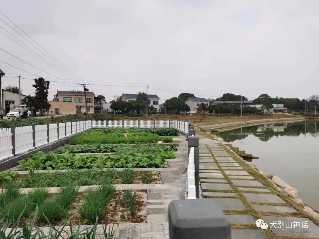 佘汉武图片,佘汉武最后的作品