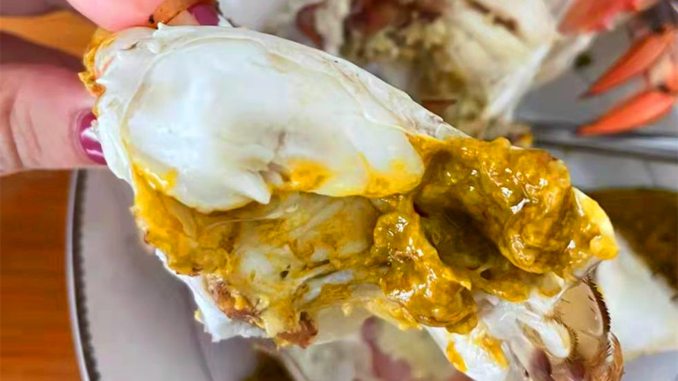 蒸螃蟹冷水下锅还是热水下锅,蒸螃蟹水开了蒸还是冷水蒸