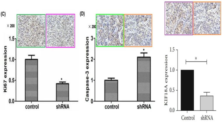 天津医科大学第二医院的9分论文遭评议！疑似与同期论文多图重叠