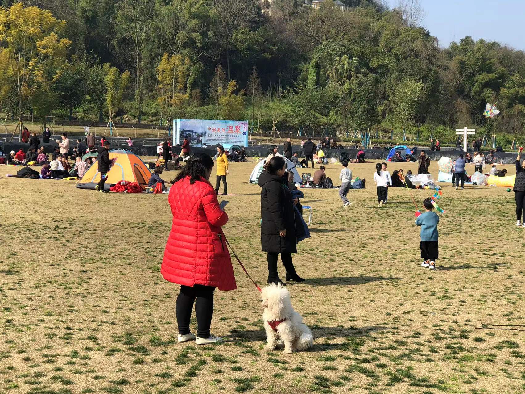 春暖花开我们一起去踏青,春暖花开我们共赏樱花