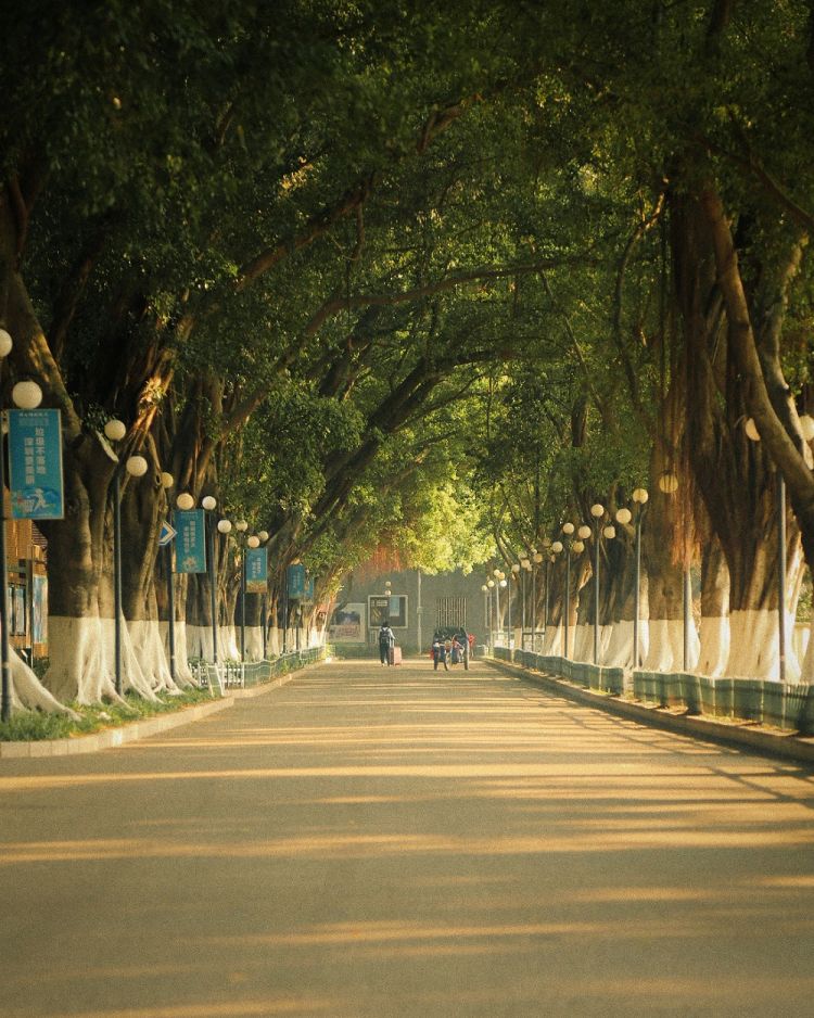 深圳光明中学2023年招收多少人,深圳市光明区高级中学特招分数线