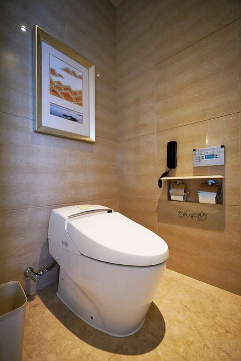 希尔顿酒店各品牌定位,希尔顿中国酒店排名