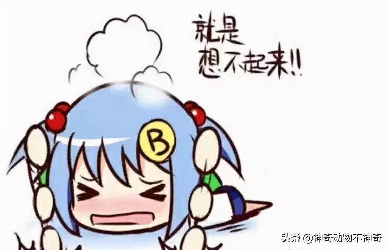 致命毒蝎号称“穷人的*品毒**”，巴铁还把它当烟抽，它有什么魔力？