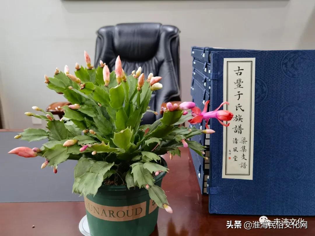 丰县名门望族三槐堂,江苏丰县于姓清风堂家谱