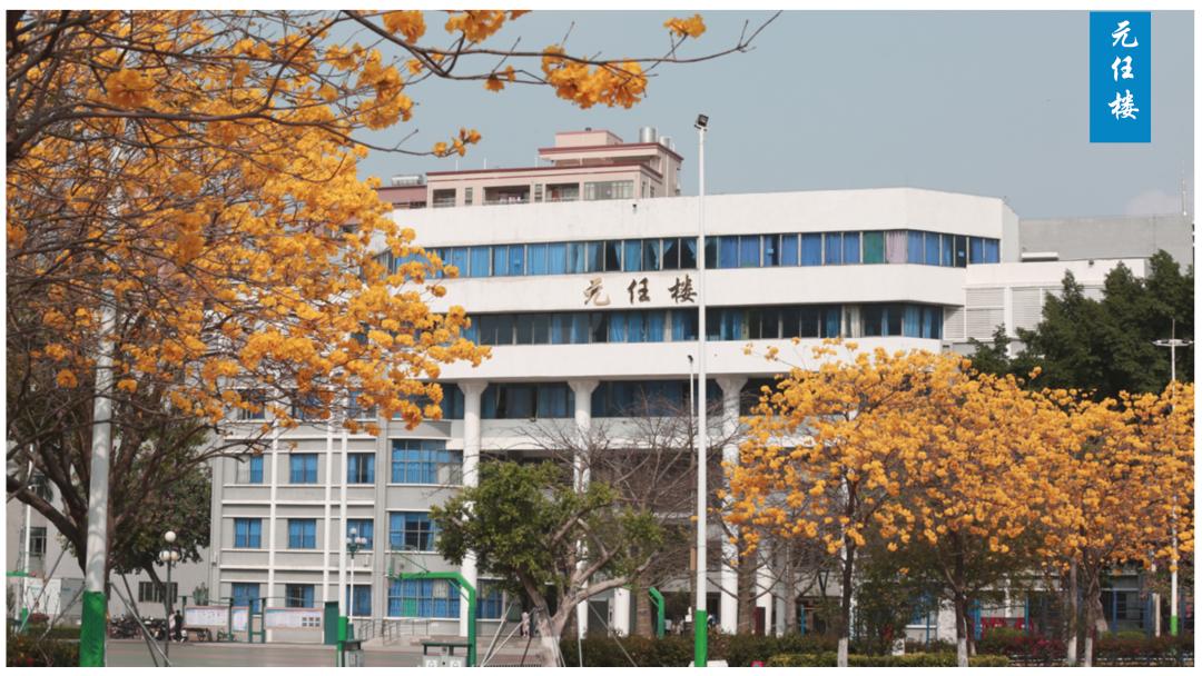 深圳市光明区民办高级中学,深圳光明高级中学体育场