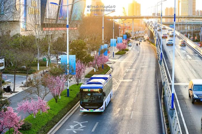 清明小攻略踏青避堵路线你知道吗,清明出行热门目的地