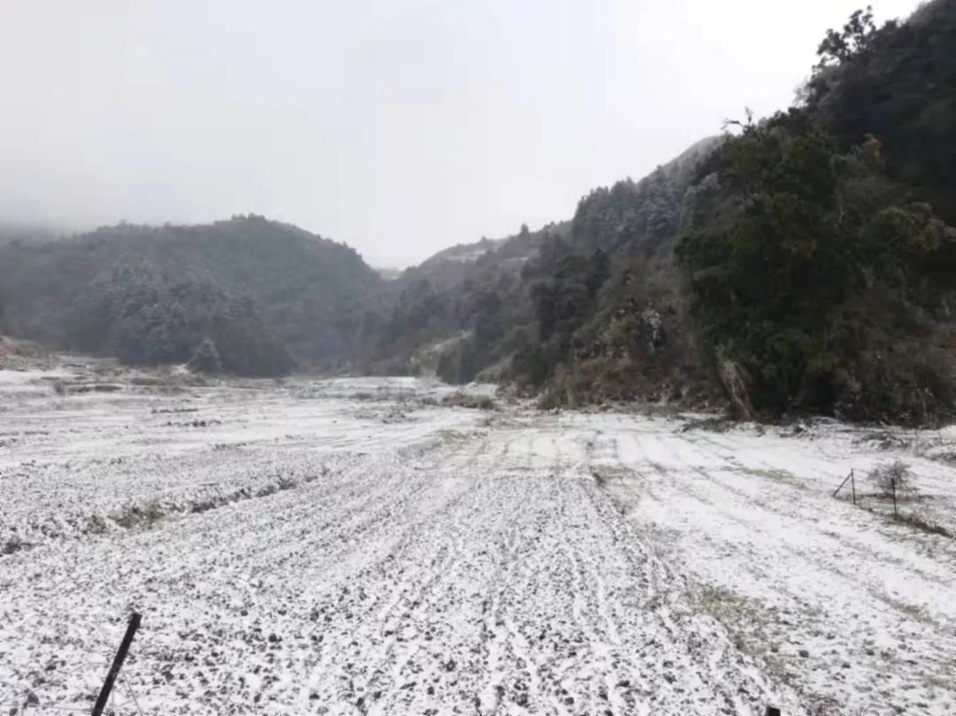 云南开远市下雪吗,开远多少年没下雪了