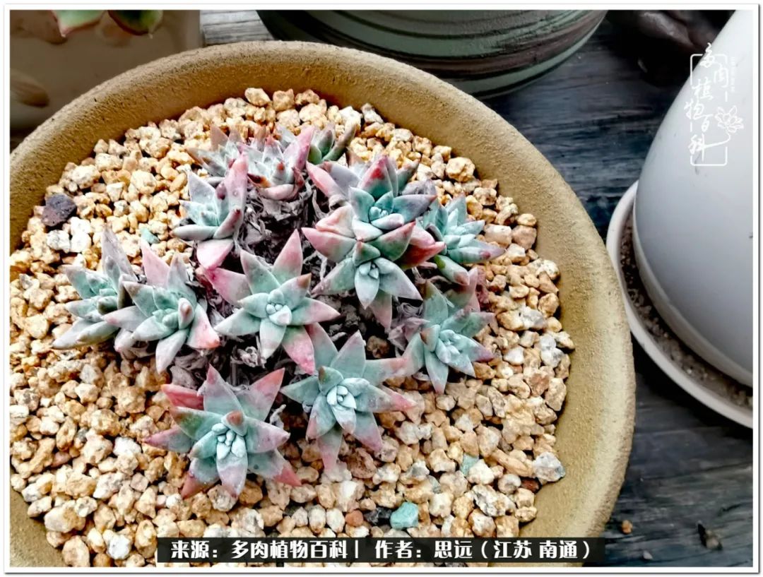 隔着时间的深爱，来自秋天的私语