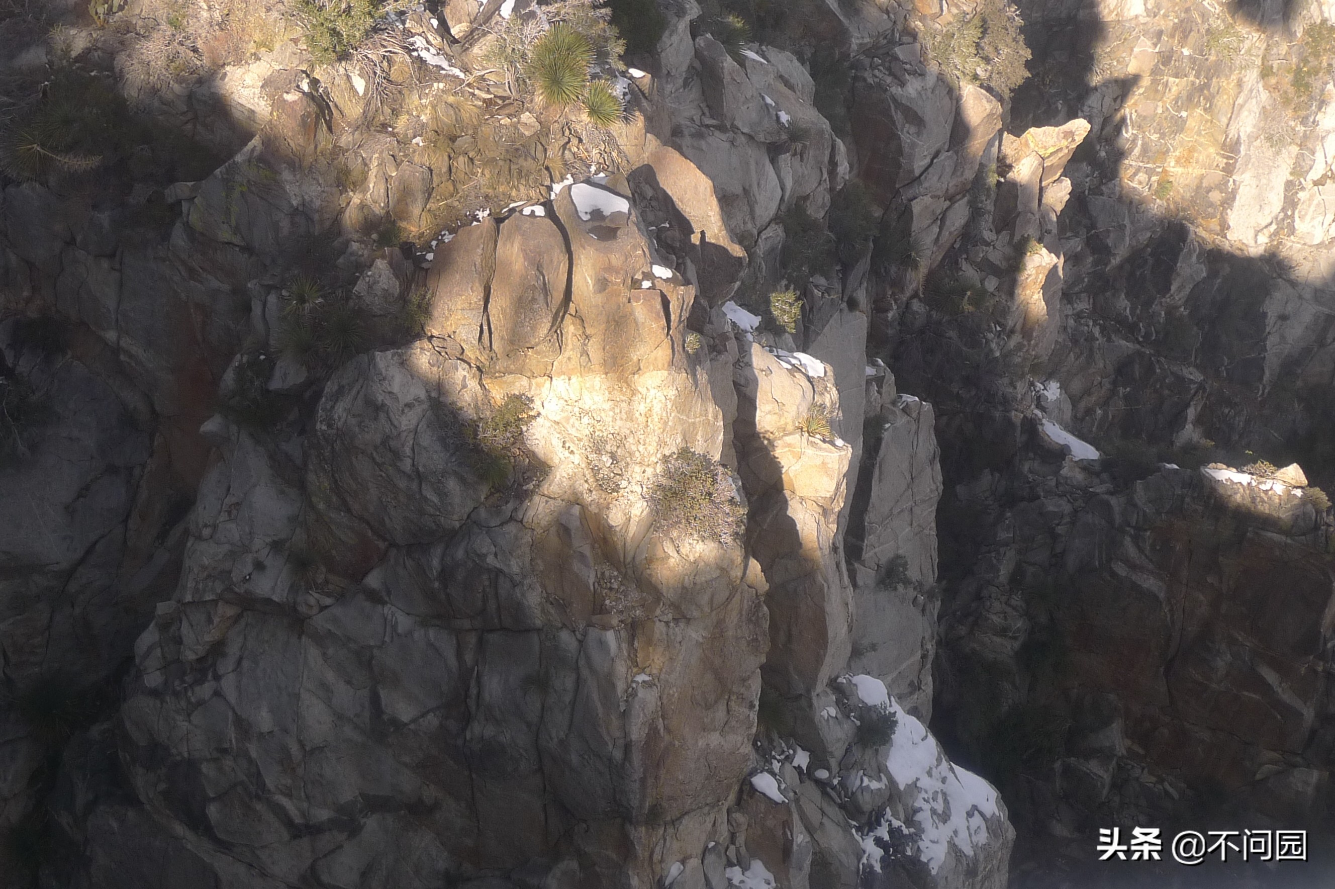 棕榈泉缆车,美国加州棕榈泉缆车