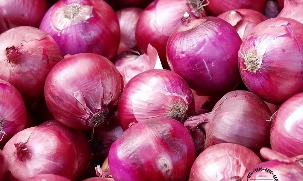 什么植物黄酮含量高,植物黄酮类有哪些物质