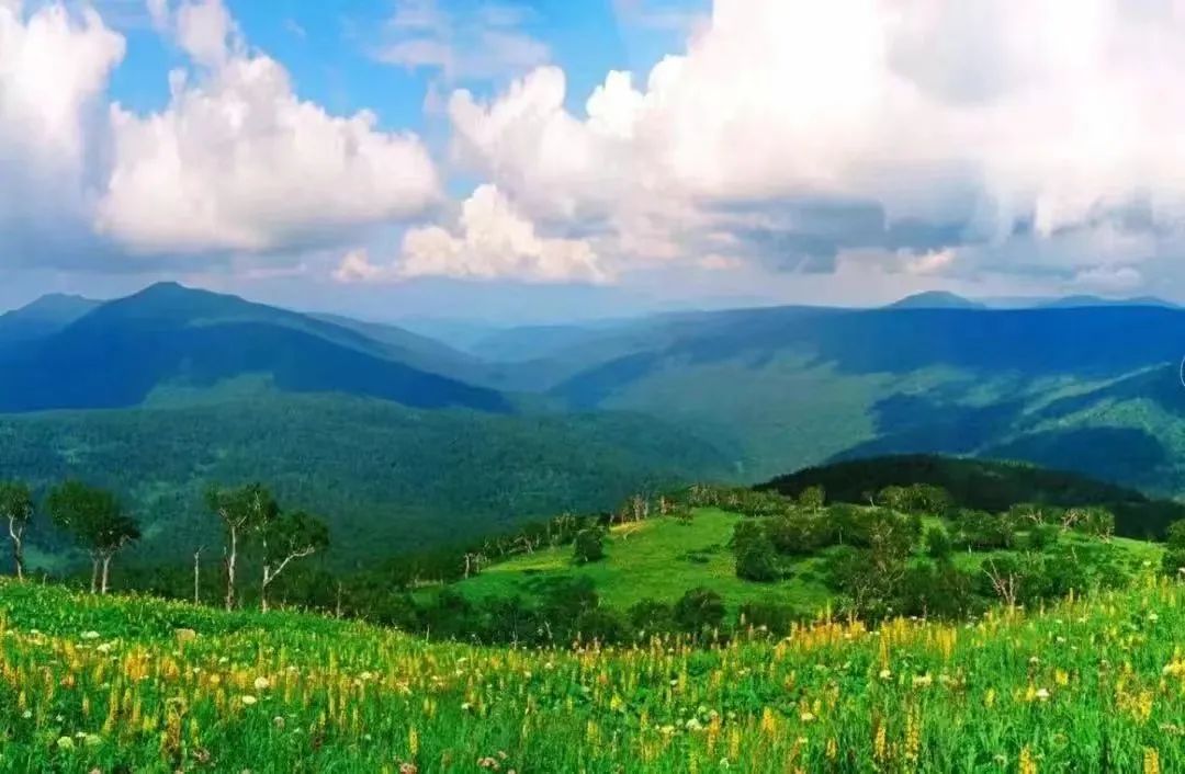 五常凤凰山游览图,五常凤凰山三日游第一峰