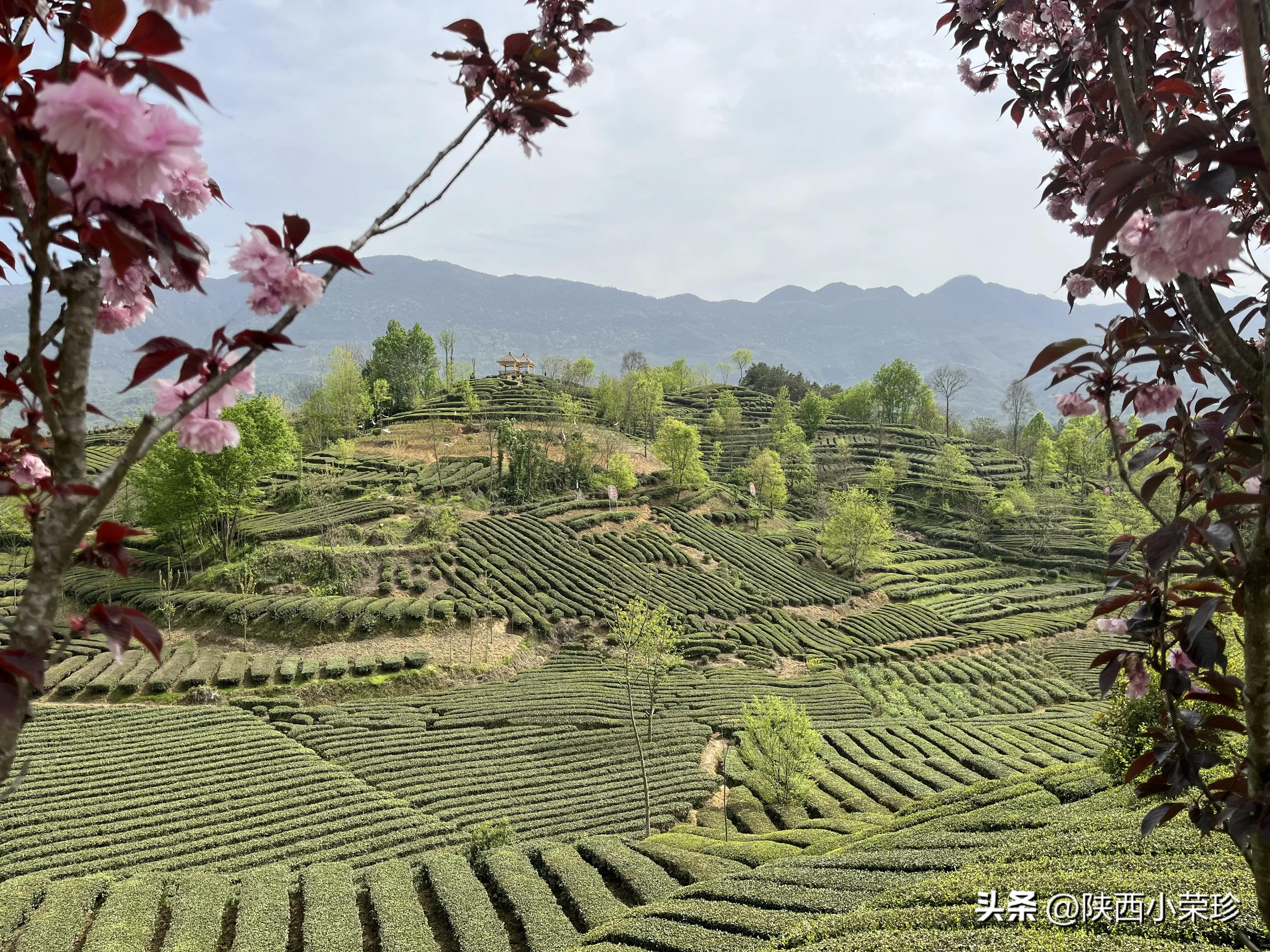 在药店上班遇到奇葩怎么办,在超市上班遇到外国人怎么办