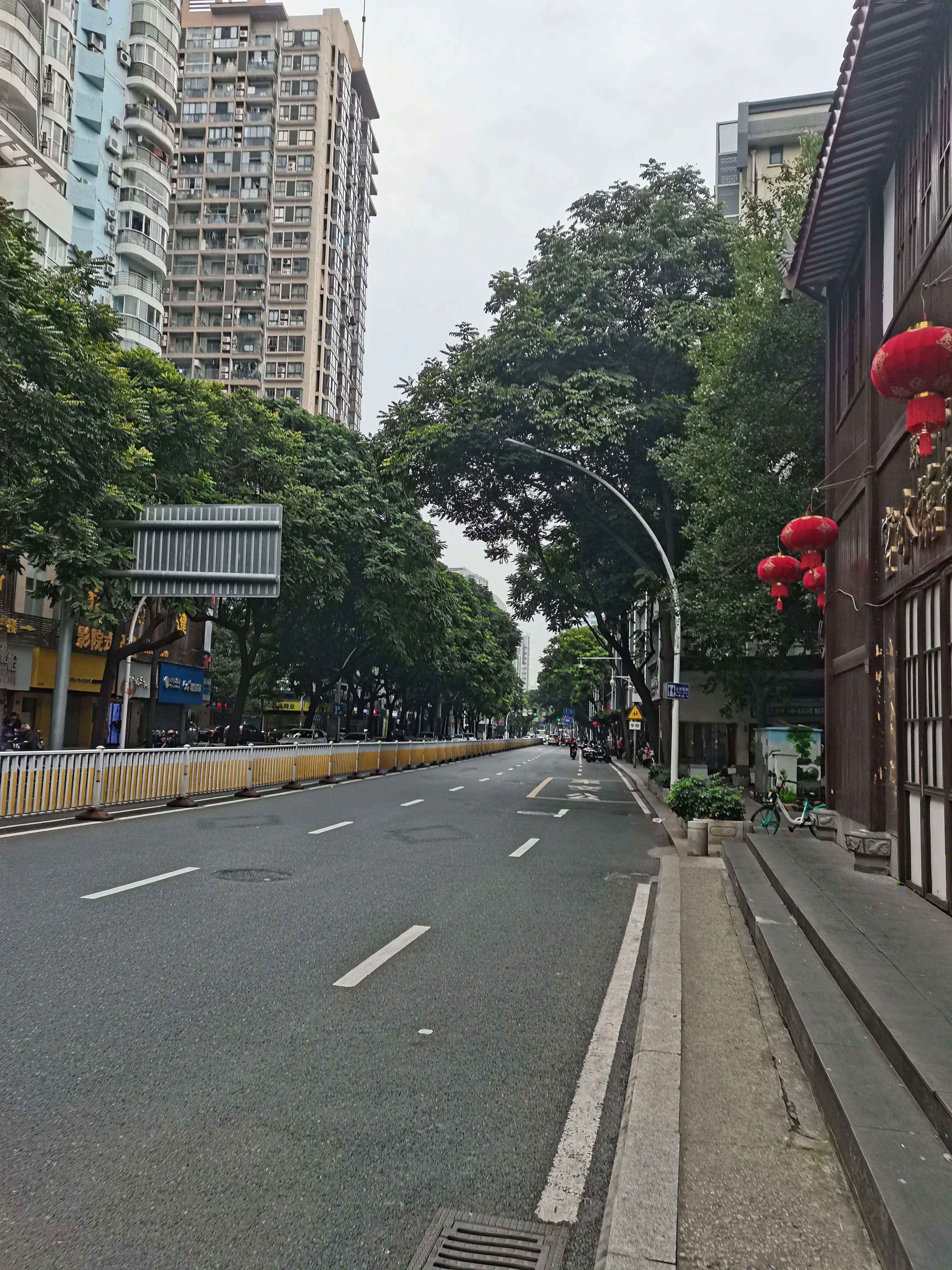 福州郁金香温泉公园,福州花海公园郁金香