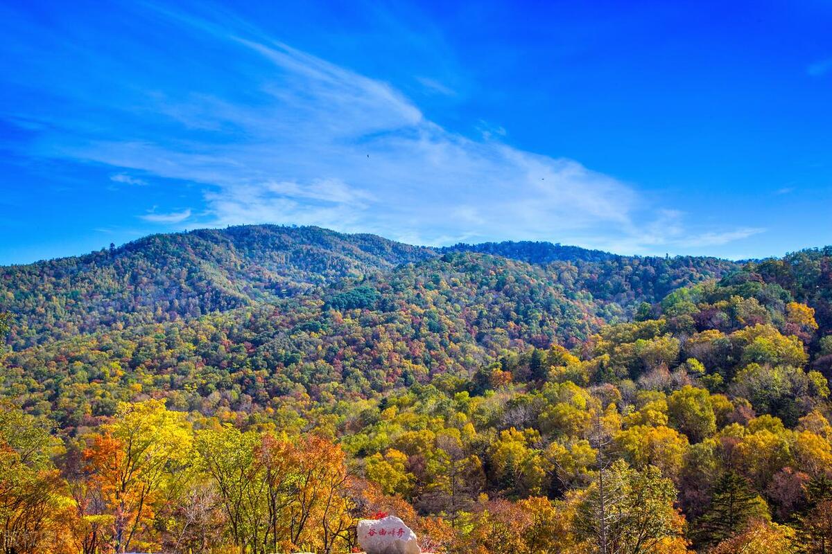 哈尔滨十大最值得去的景点,哈尔滨最值得去的十大景点排名