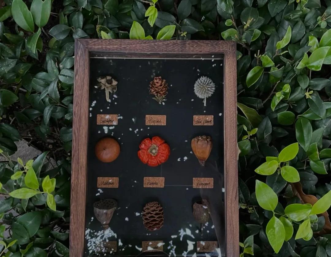 春节出游必看！温州这12条特色线路诚意满满，带你玩转虎年春节！