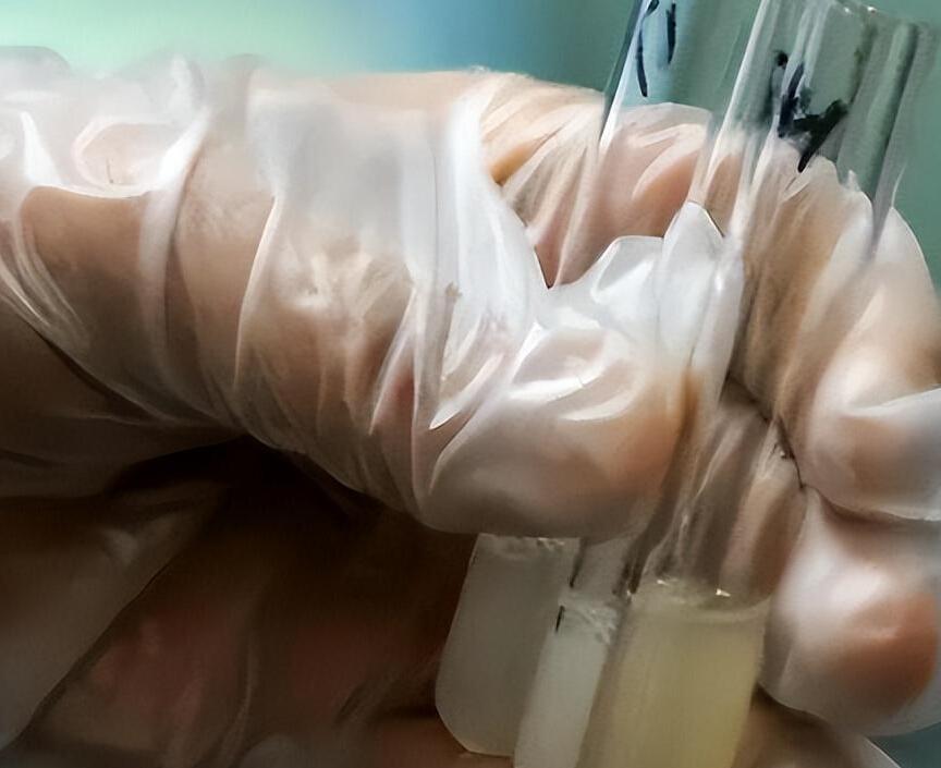 精子库暗藏猫腻,精子库的医务人员