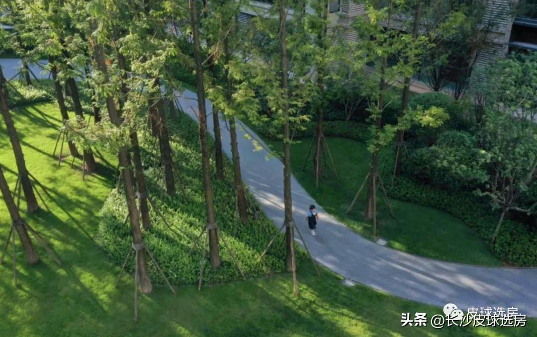 长沙龙湖舜山府点评,长沙龙湖舜山府卖不出去