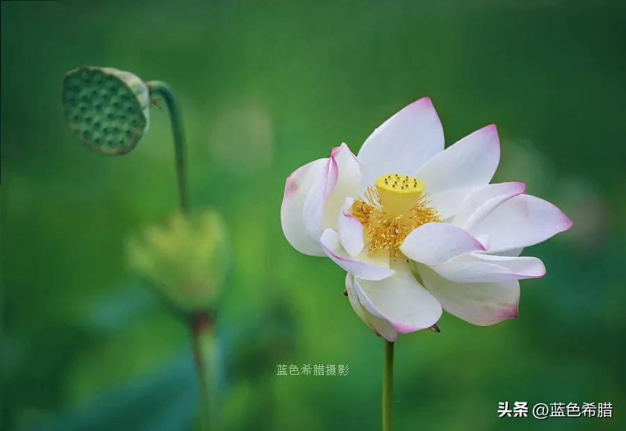 你好夏至愿一切美好都如夏而至,夏至已到愿所有美好如约而至