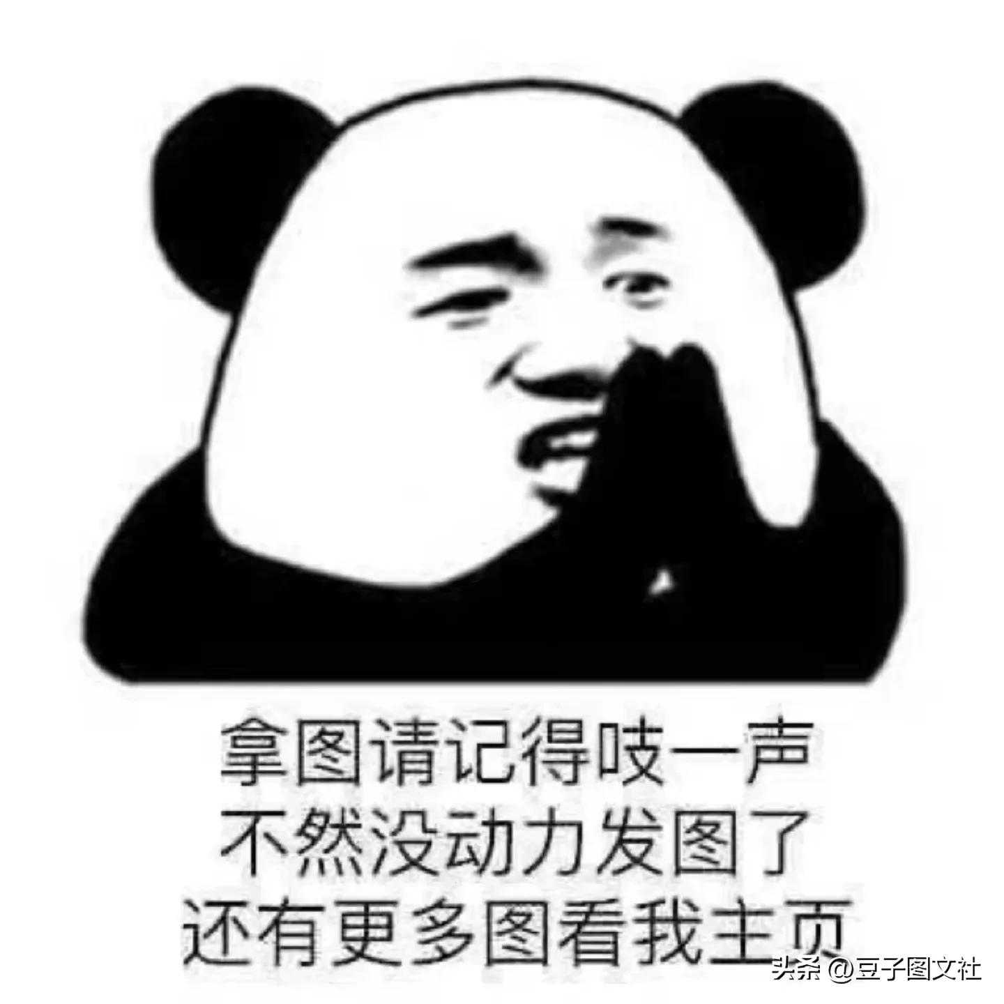 女生头像不露脸头像上有字,超火不露脸部位好看的女生头像