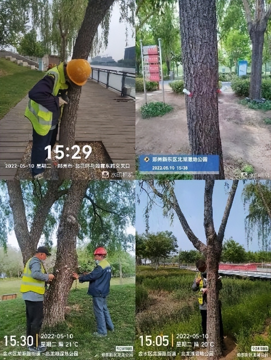 12月份园林绿化养护工作重点,元月份园林养护重点工作