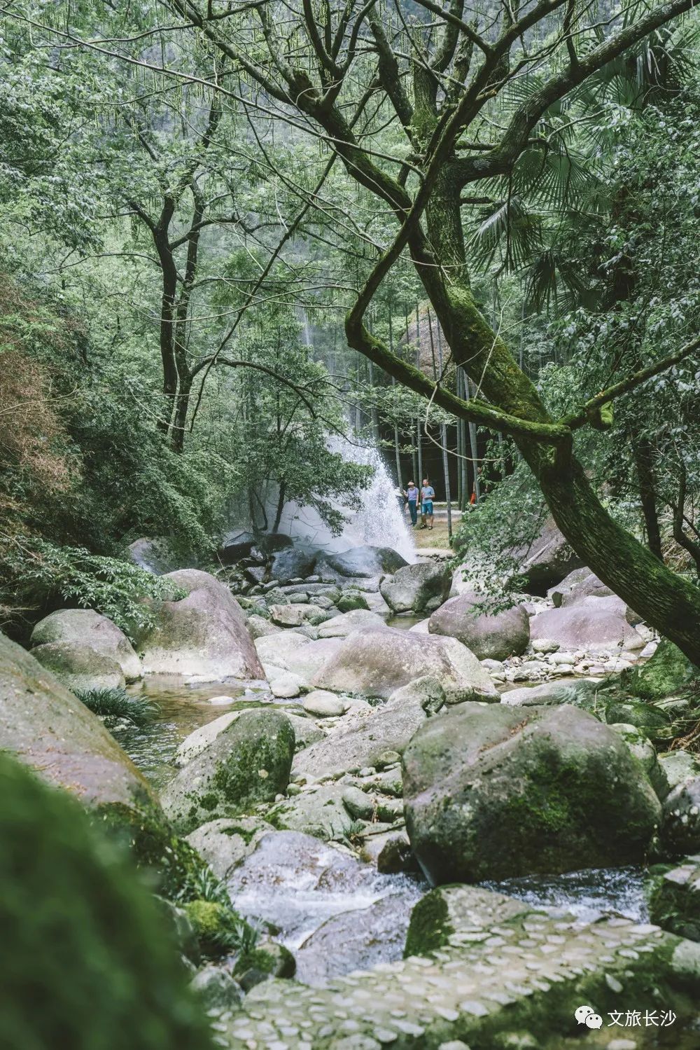 长沙夏日周末旅游景点攻略,长沙夏日游玩攻略一日游推荐