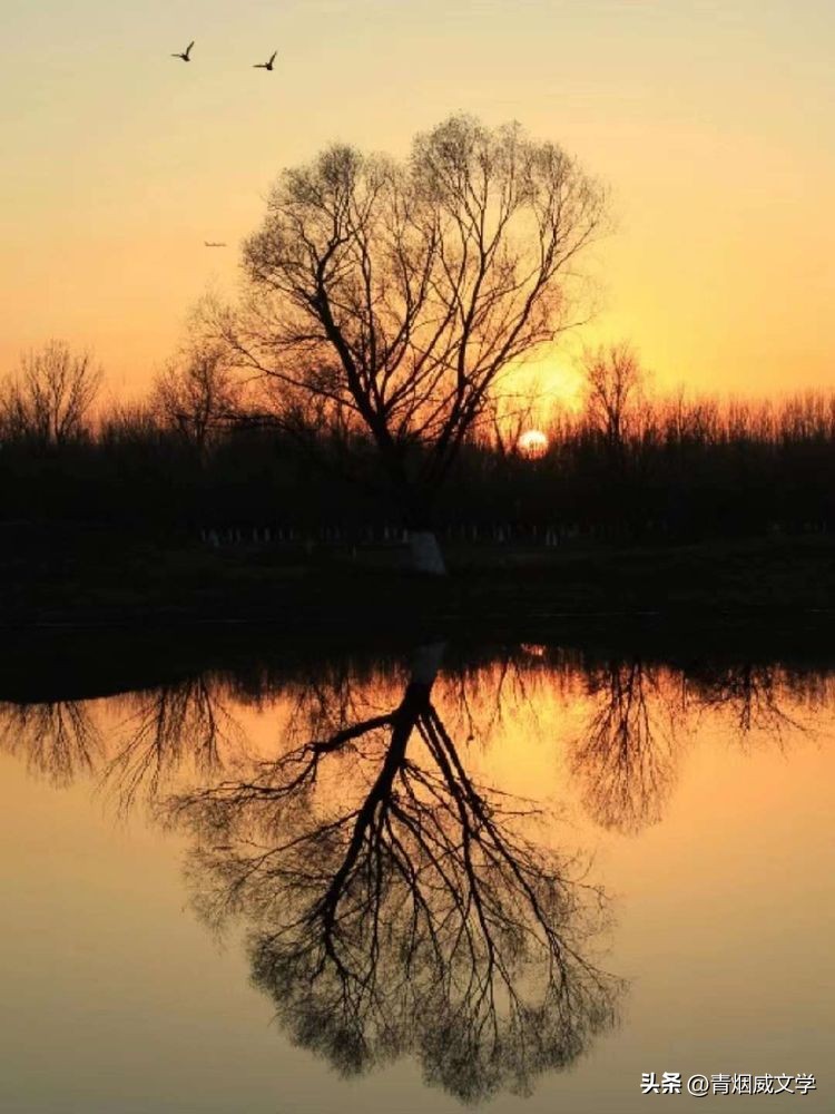 古城游景七律,写古城七律