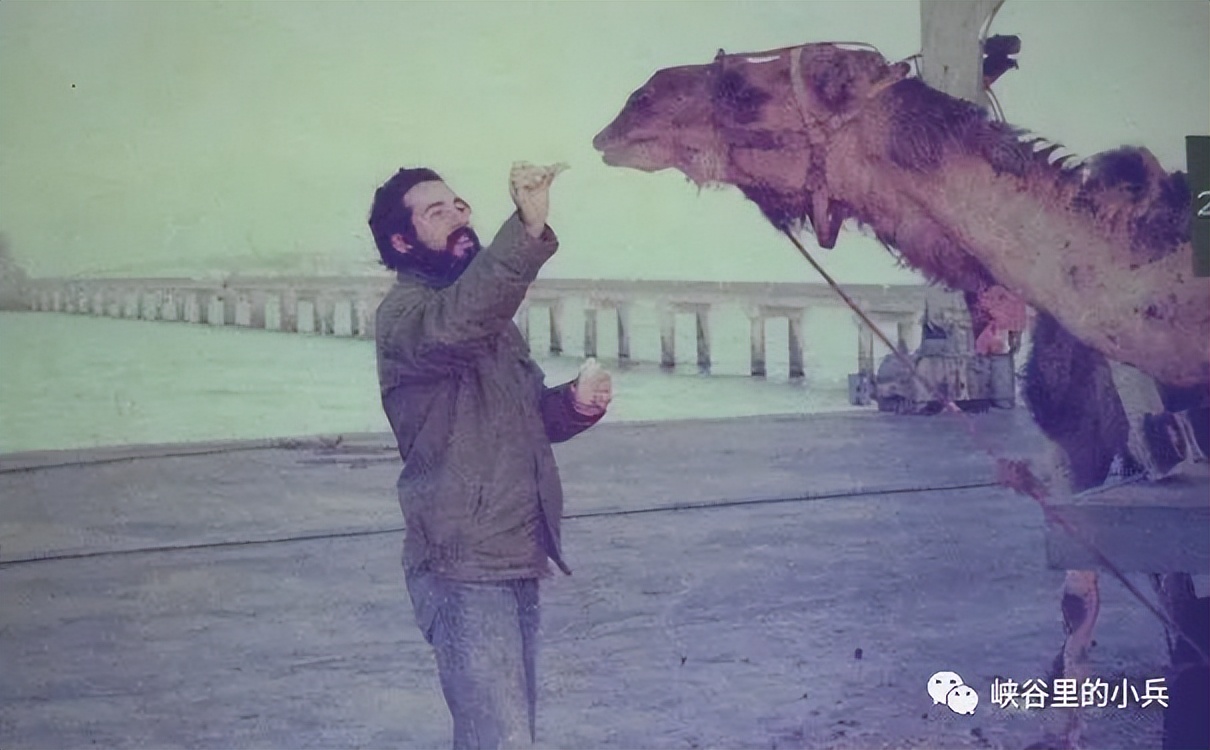 配音素材三毛不求深刻只求简单,三毛生活不求深刻只求简单