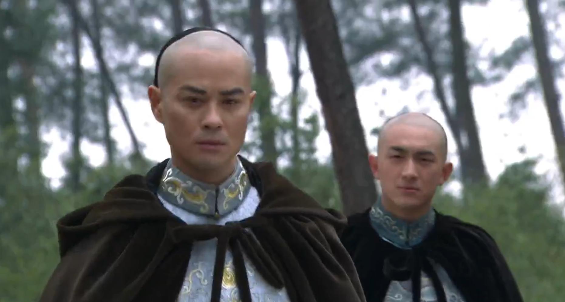 步步惊心八爷对四爷评价,步步惊心八爷临死前的真相